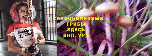 сатива Переславль-Залесский