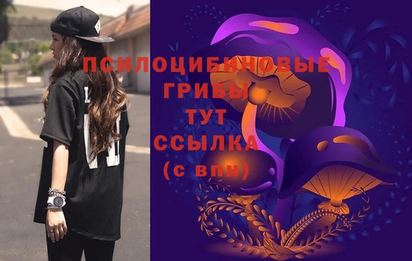 сатива Переславль-Залесский