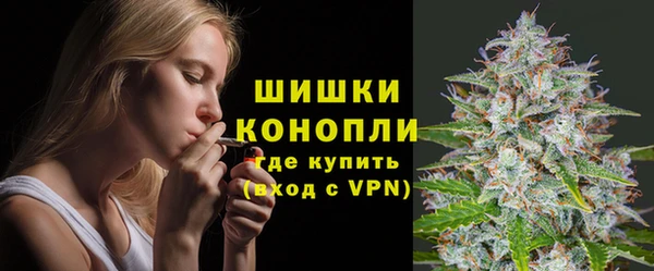 сатива Переславль-Залесский