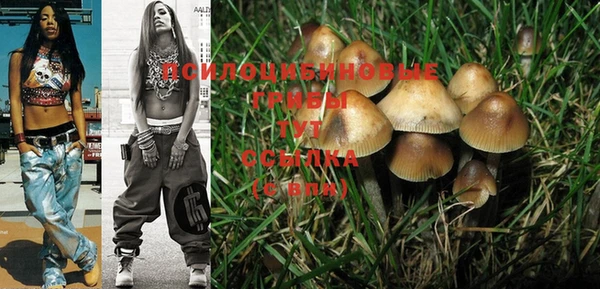 MESCALINE Пестово