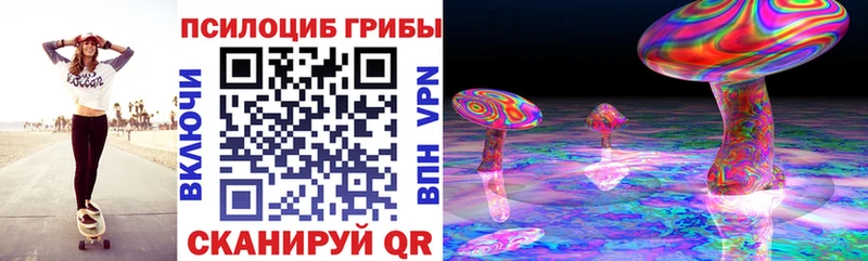 Псилоцибиновые грибы Magic Shrooms  Купить где  Старая Купавна 